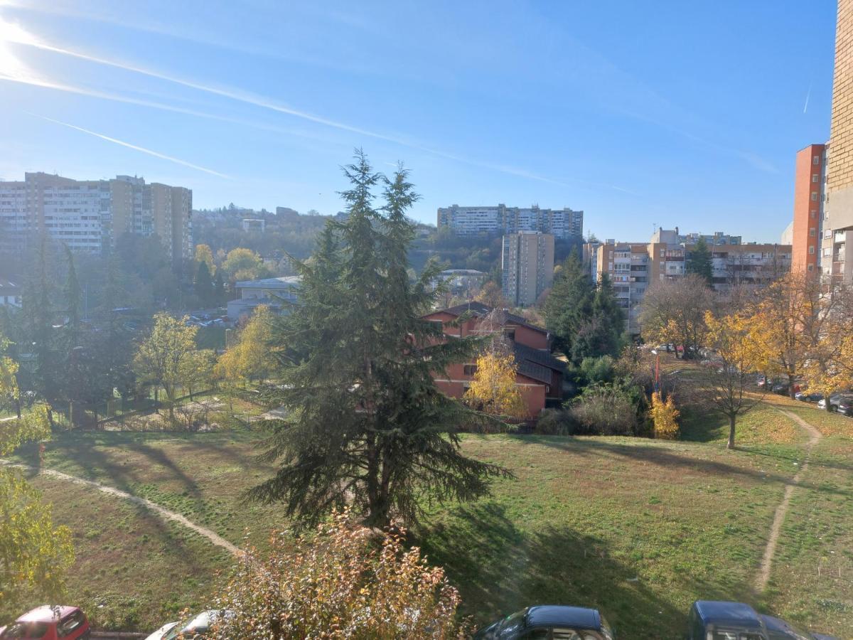Apartman 22 Beograd Ngoại thất bức ảnh